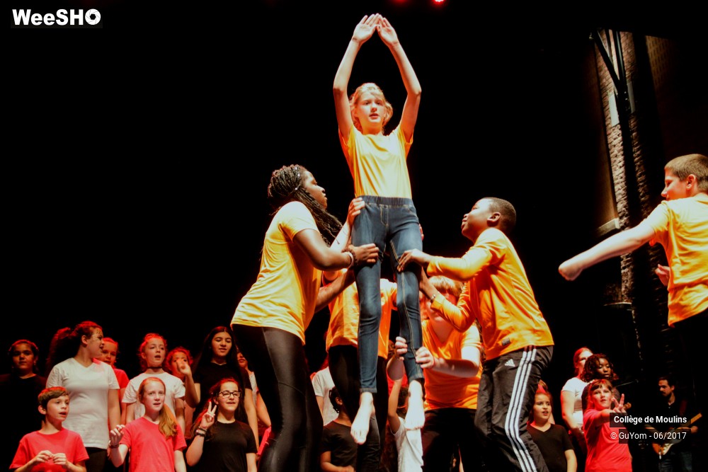 19/47 photos du spectacle La vie est un cirque