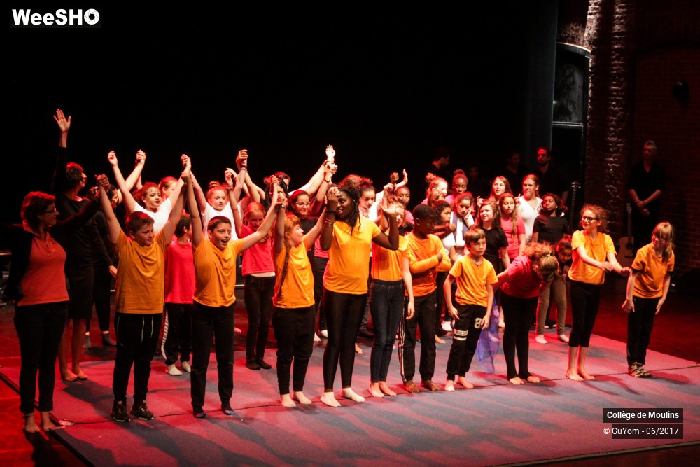 21/47 photos du spectacle La vie est un cirque