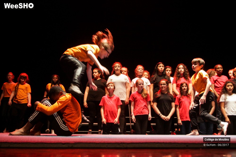 23/47 photos du spectacle La vie est un cirque