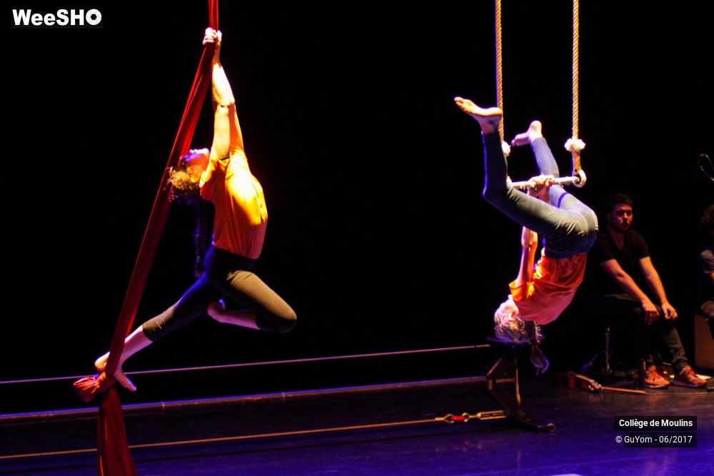 24/47 photos du spectacle La vie est un cirque