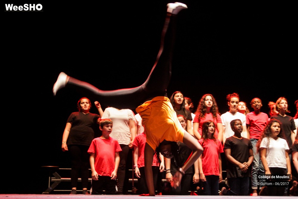 25/47 photos du spectacle La vie est un cirque