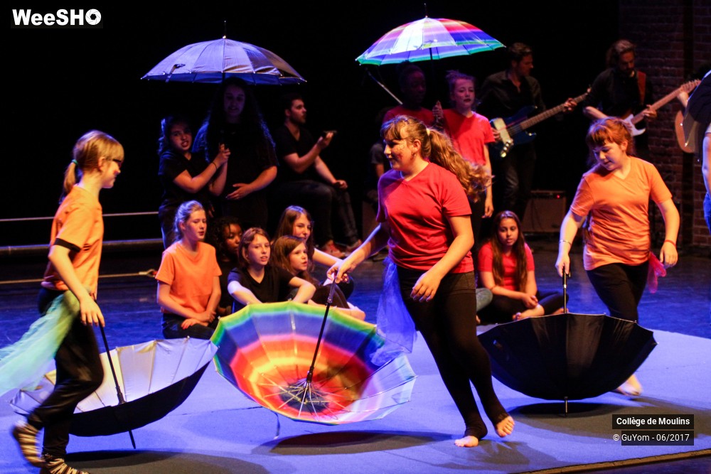 27/47 photos du spectacle La vie est un cirque