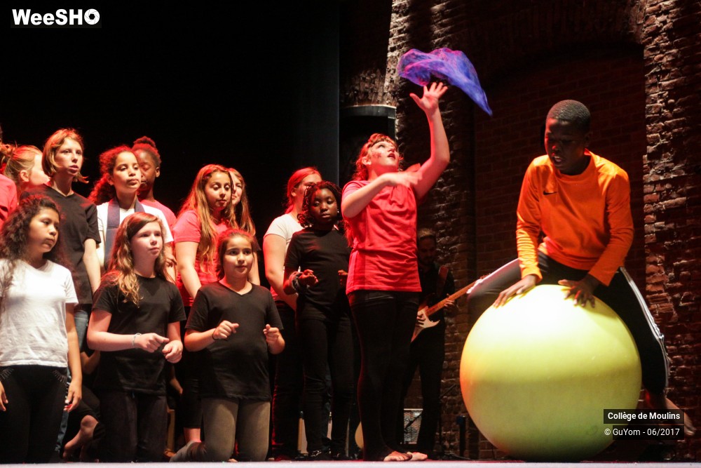 28/47 photos du spectacle La vie est un cirque