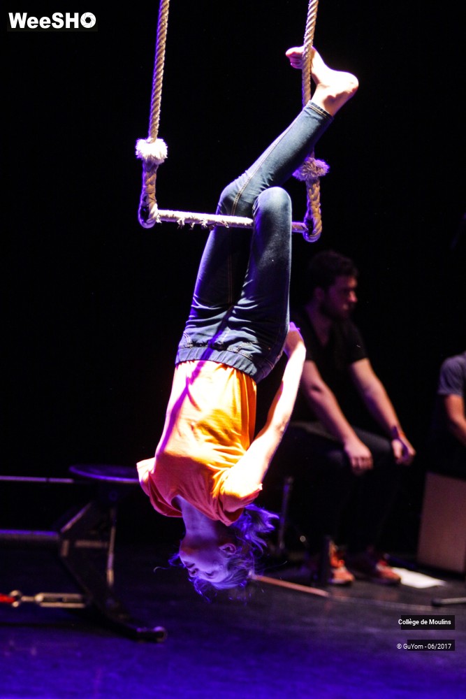 29/47 photos du spectacle La vie est un cirque