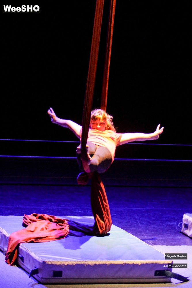 30/47 photos du spectacle La vie est un cirque
