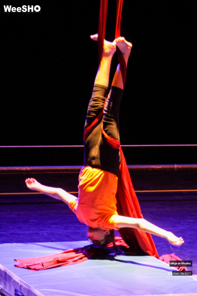 31/47 photos du spectacle La vie est un cirque
