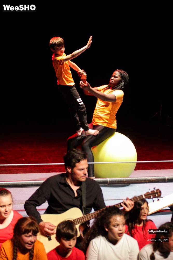 36/47 photos du spectacle La vie est un cirque