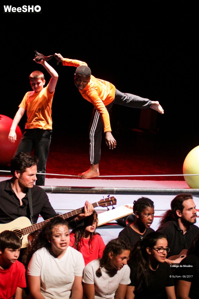 37/47 photos du spectacle La vie est un cirque