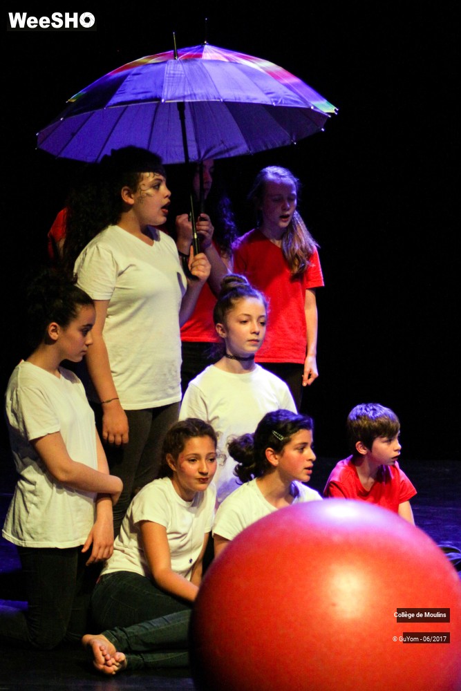 40/47 photos du spectacle La vie est un cirque