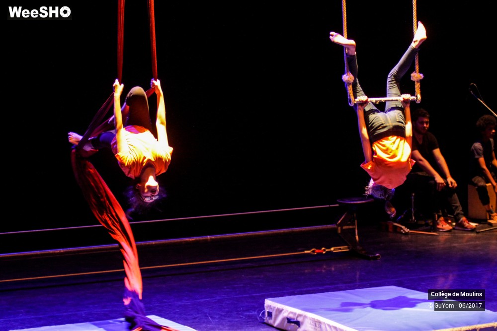 44/47 photos du spectacle La vie est un cirque