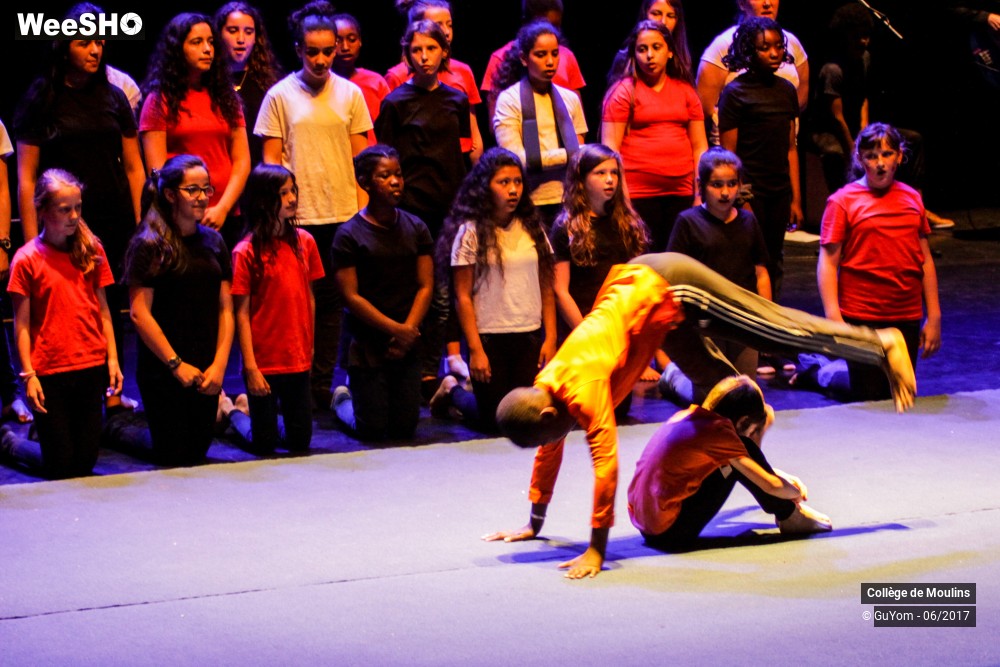 47/47 photos du spectacle La vie est un cirque