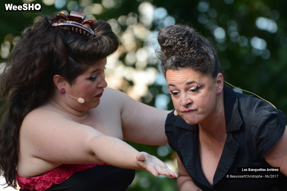 30/35 photos du spectacle Les Banquettes Arrières