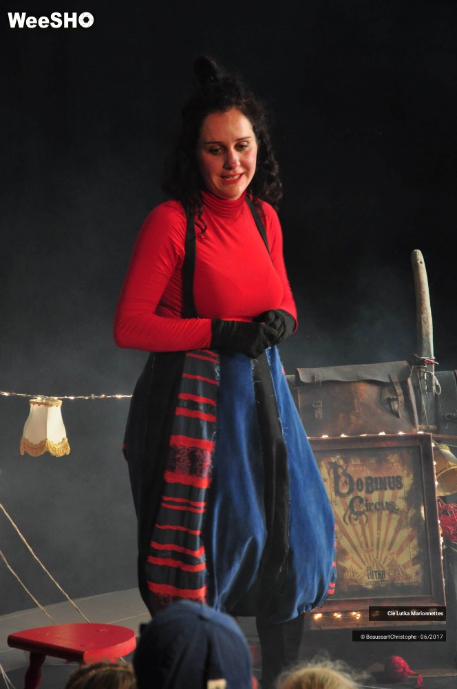 16/41 photos du spectacle Bobinus Circus