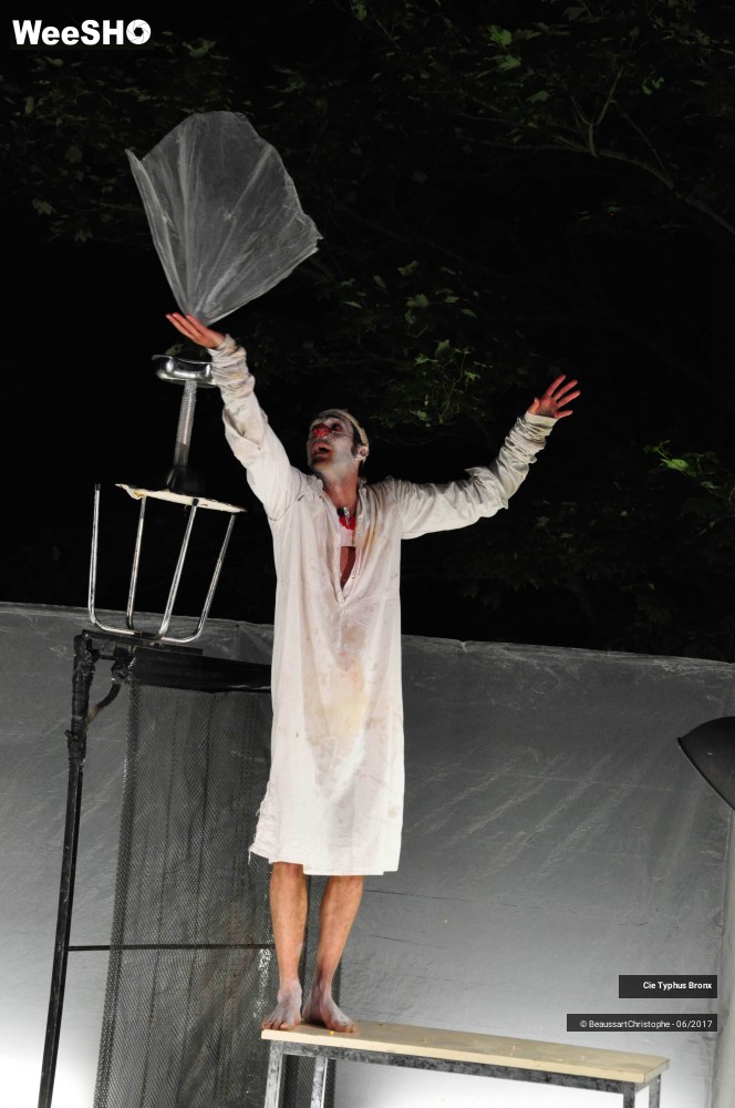 6/33 photos du spectacle Le Délirium du papillon