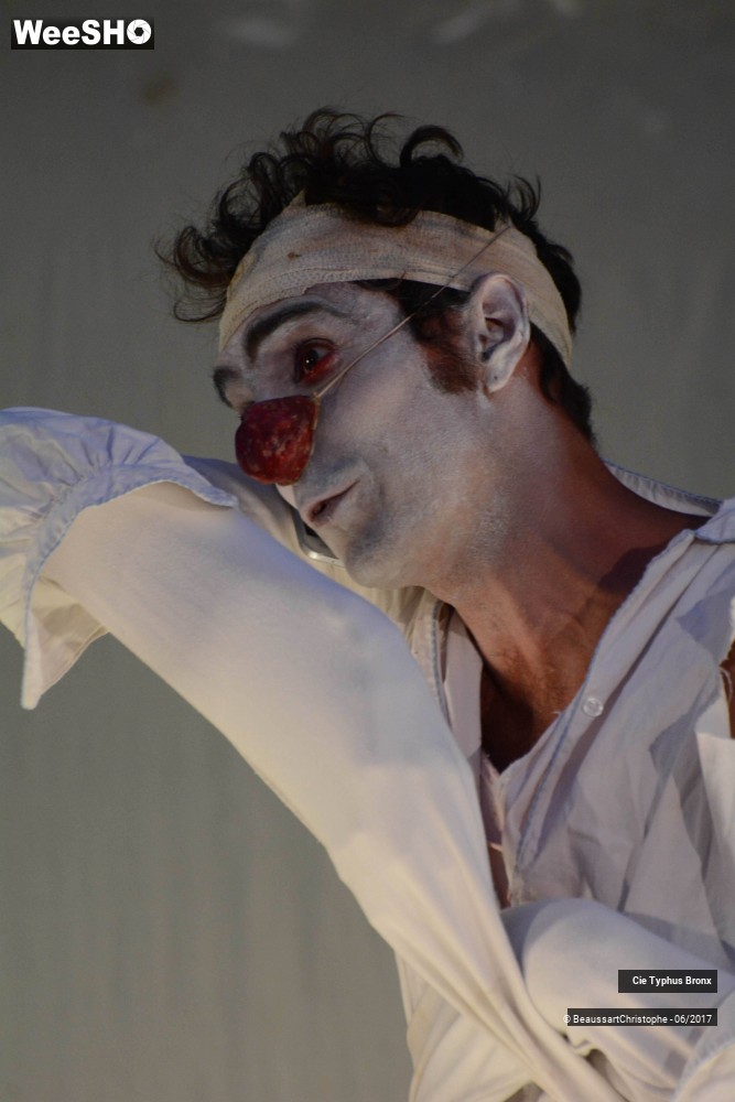 10/33 photos du spectacle Le Délirium du papillon