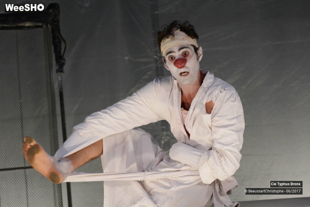18/33 photos du spectacle Le Délirium du papillon