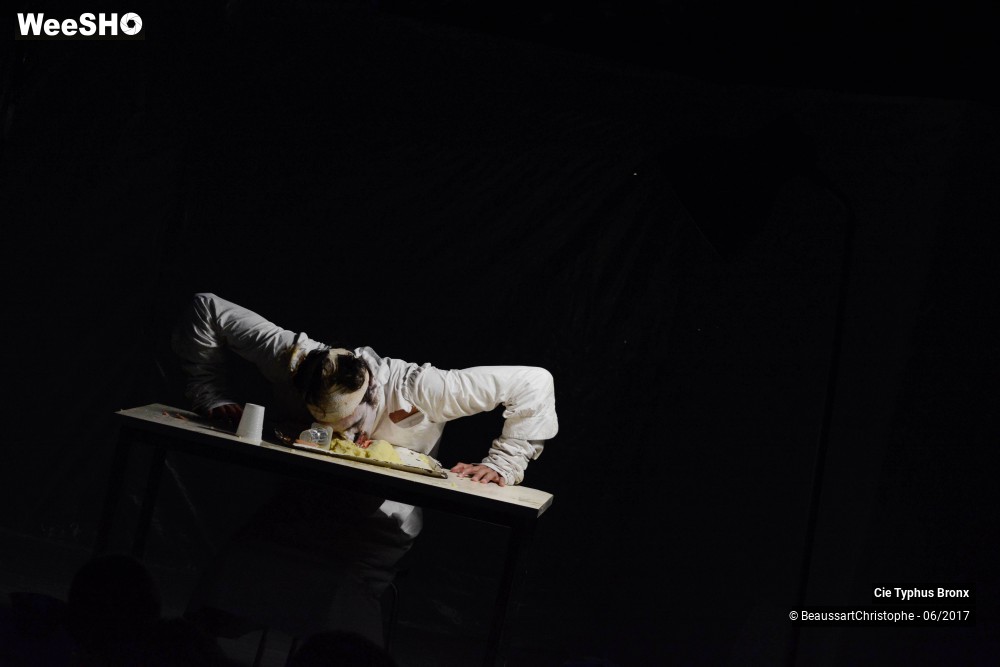 19/33 photos du spectacle Le Délirium du papillon
