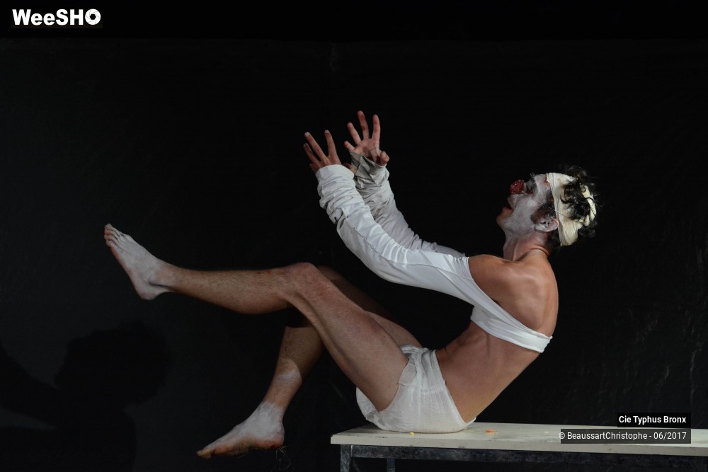 24/33 photos du spectacle Le Délirium du papillon