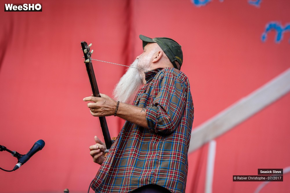 24/46 photos du spectacle Seasick Steve