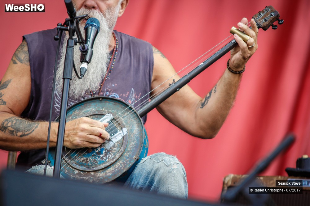 41/46 photos du spectacle Seasick Steve