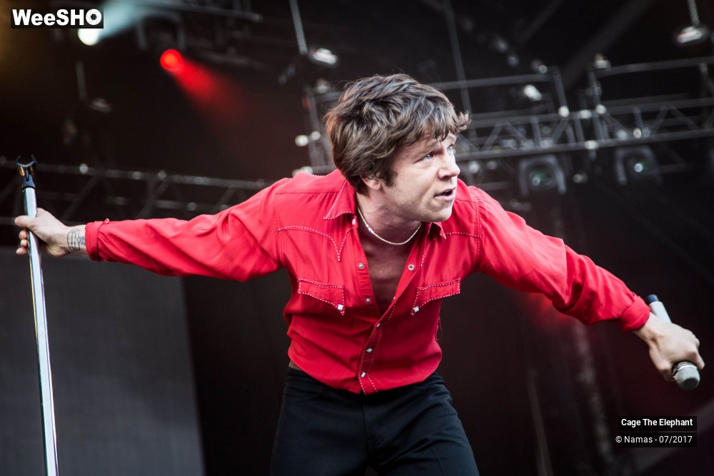 27/31 photos du spectacle Cage The Elephant