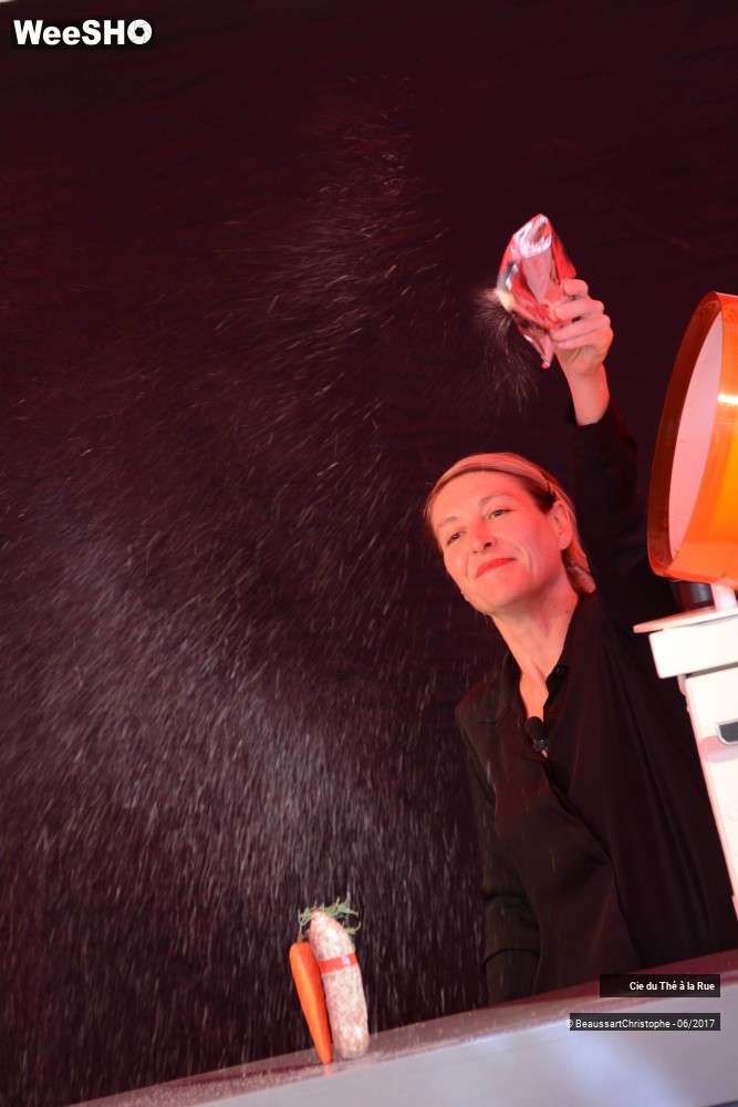 4/26 photos du spectacle La succulente histoire de Thomas Farcy