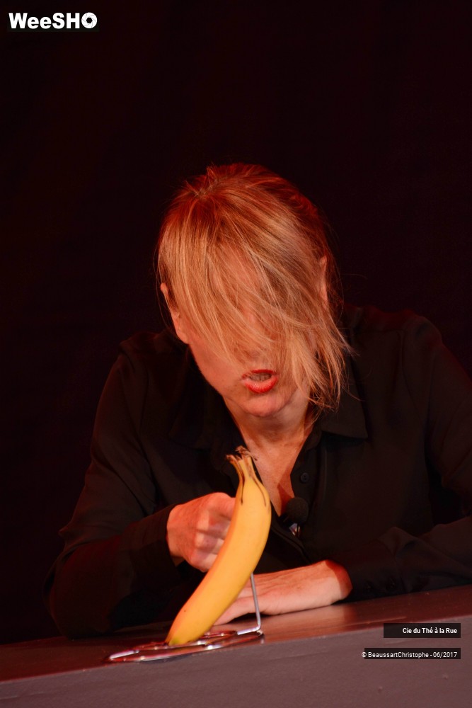 8/26 photos du spectacle La succulente histoire de Thomas Farcy
