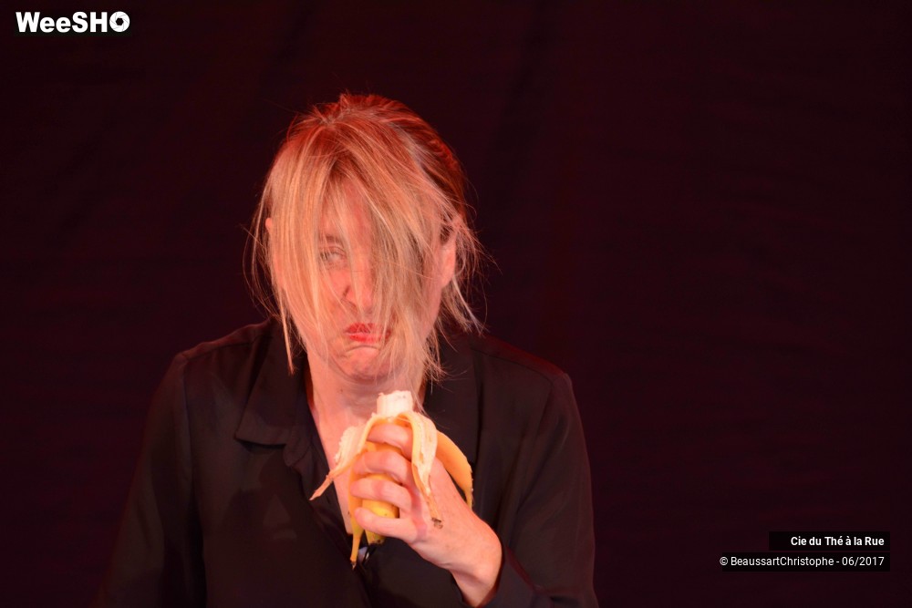 11/26 photos du spectacle La succulente histoire de Thomas Farcy