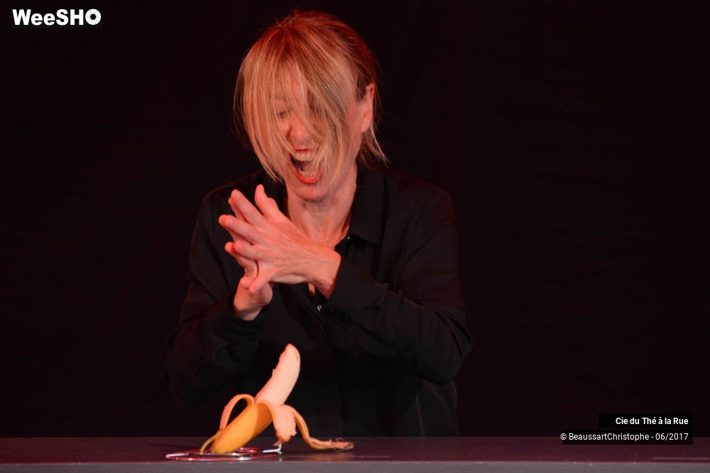 15/26 photos du spectacle La succulente histoire de Thomas Farcy