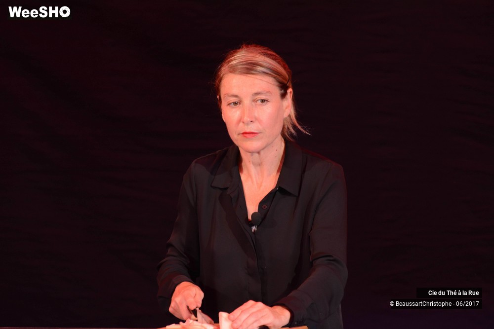 26/26 photos du spectacle La succulente histoire de Thomas Farcy
