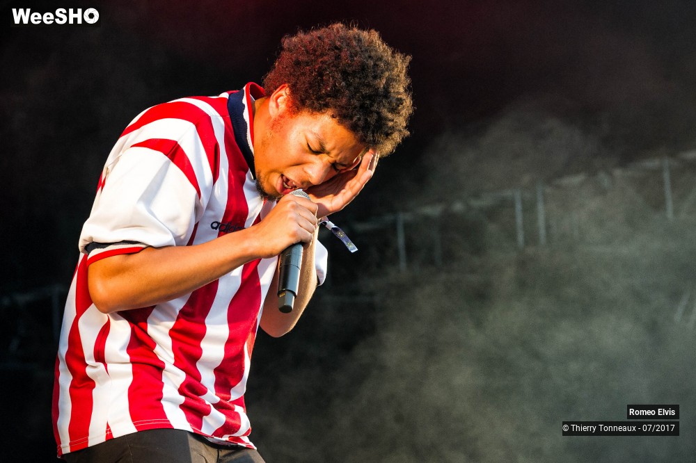 16/21 photos du spectacle Romeo Elvis