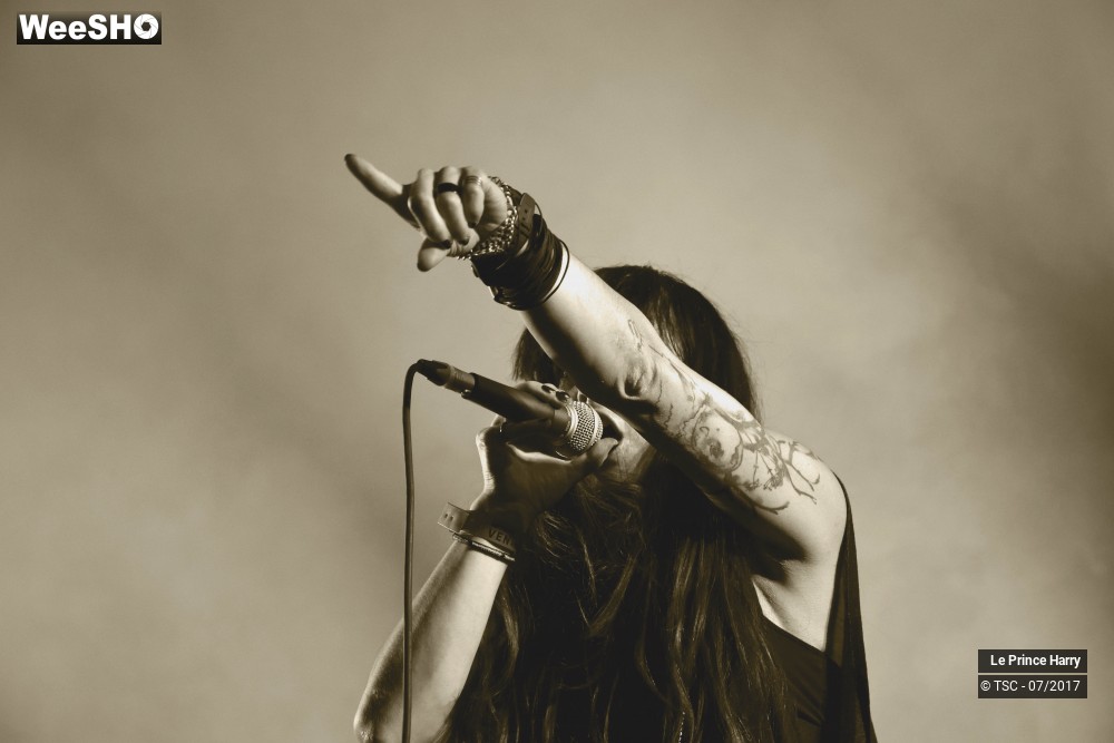 16/17 photos du spectacle Le Prince Harry