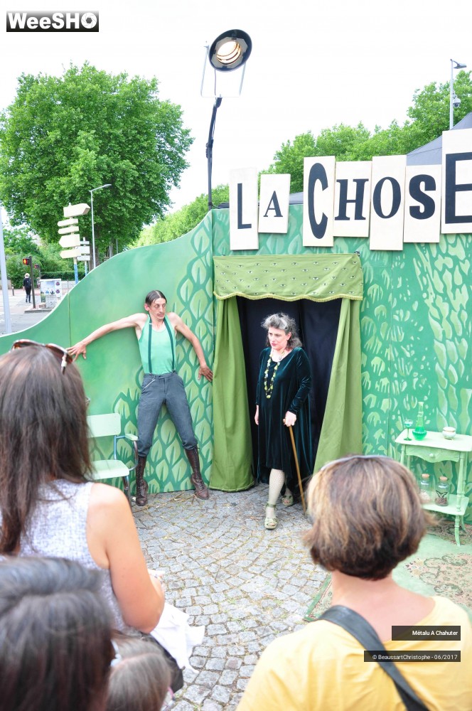 1/26 photos du spectacle La chose à voir