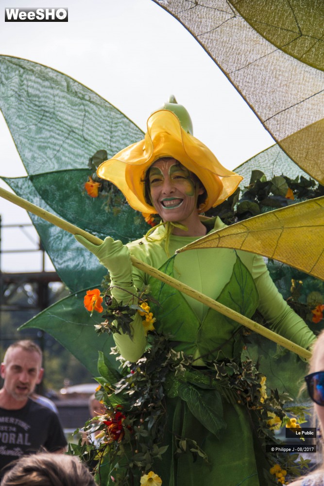 9/24 photos du spectacle Inauguration de la Foire aux Manèges 2017