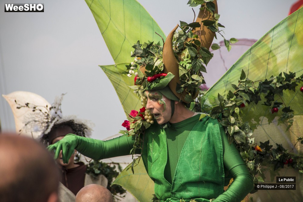 15/24 photos du spectacle Inauguration de la Foire aux Manèges 2017