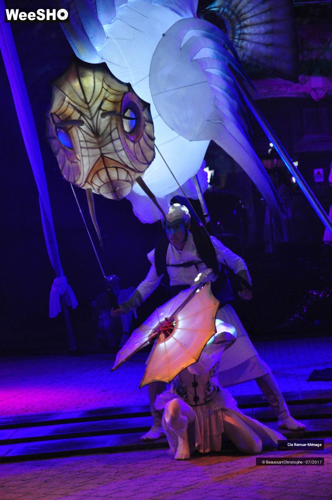 12/39 photos du spectacle Abysses