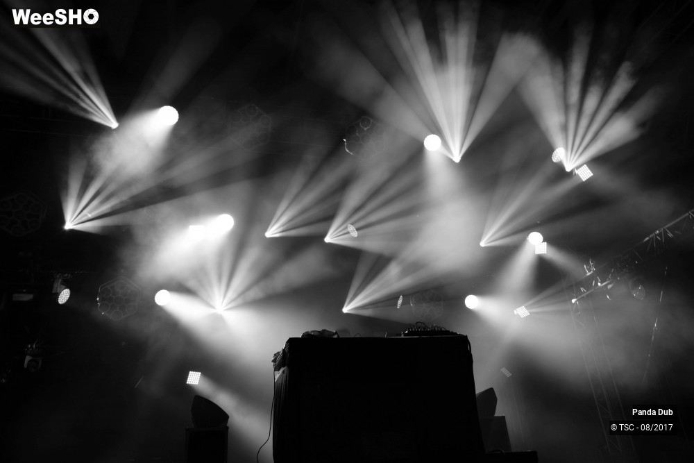 2/5 photos du spectacle Panda Dub