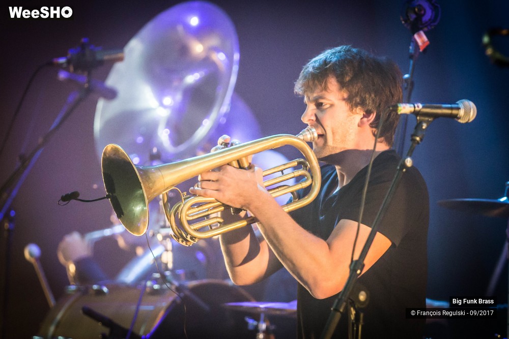 11/15 photos du spectacle Big Funk Brass