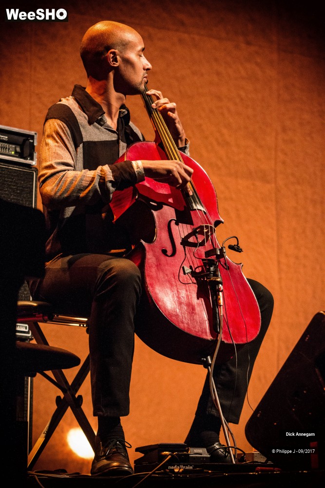 2/10 photos du spectacle Dick Annegarn