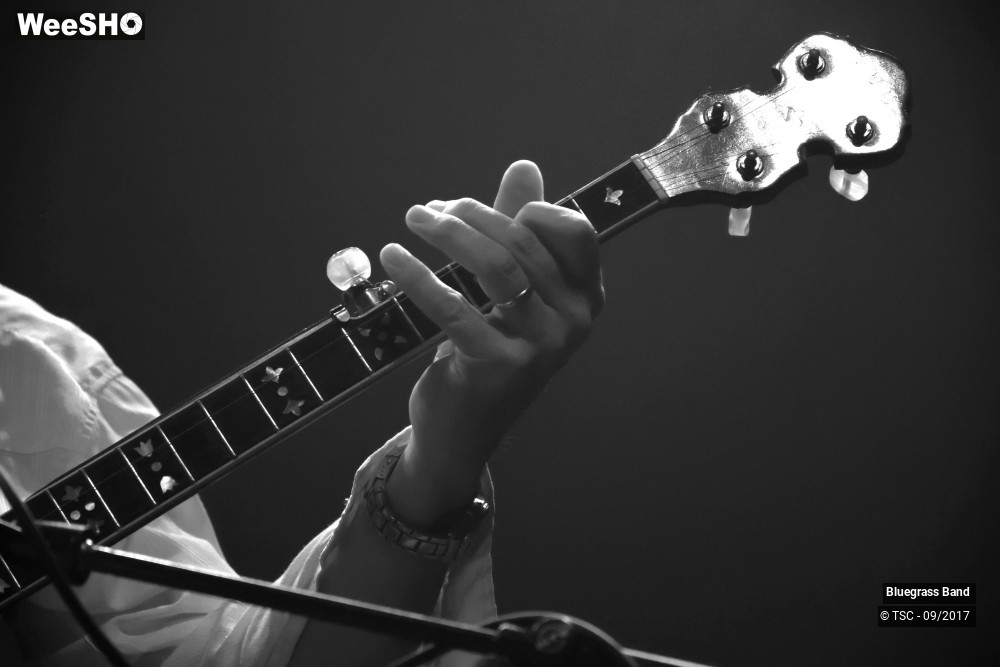 3/10 photos du spectacle Bluegrass Band