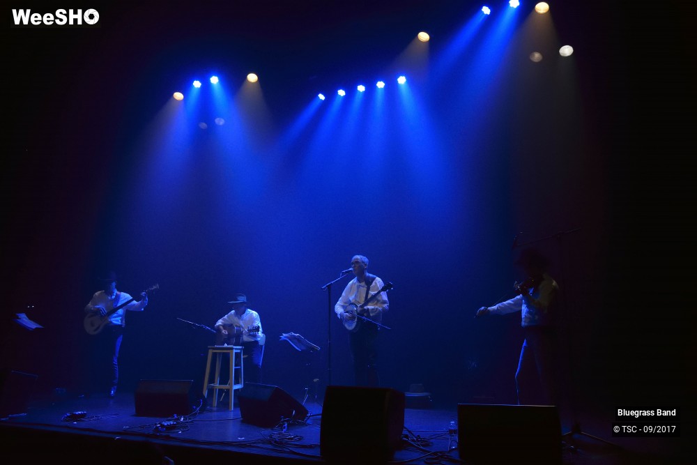 4/10 photos du spectacle Bluegrass Band