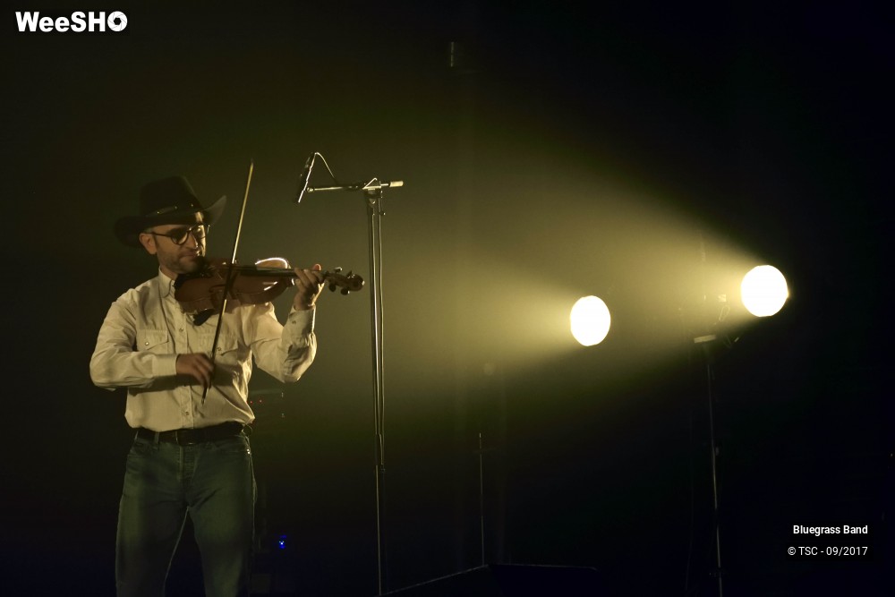 7/10 photos du spectacle Bluegrass Band