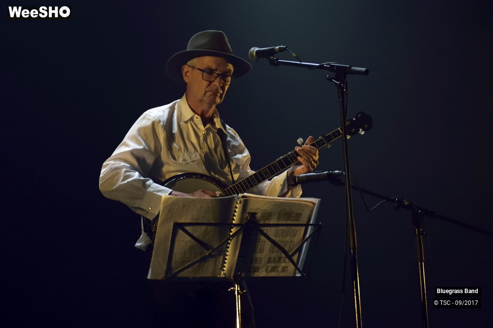 8/10 photos du spectacle Bluegrass Band