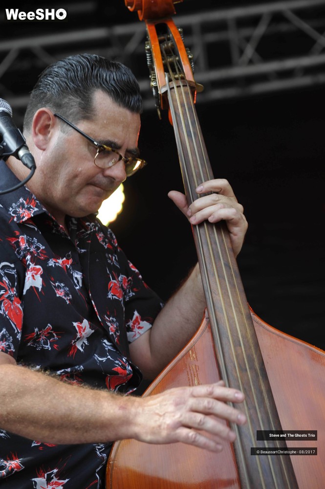 1/20 photos du spectacle Steve and The Ghosts Trio