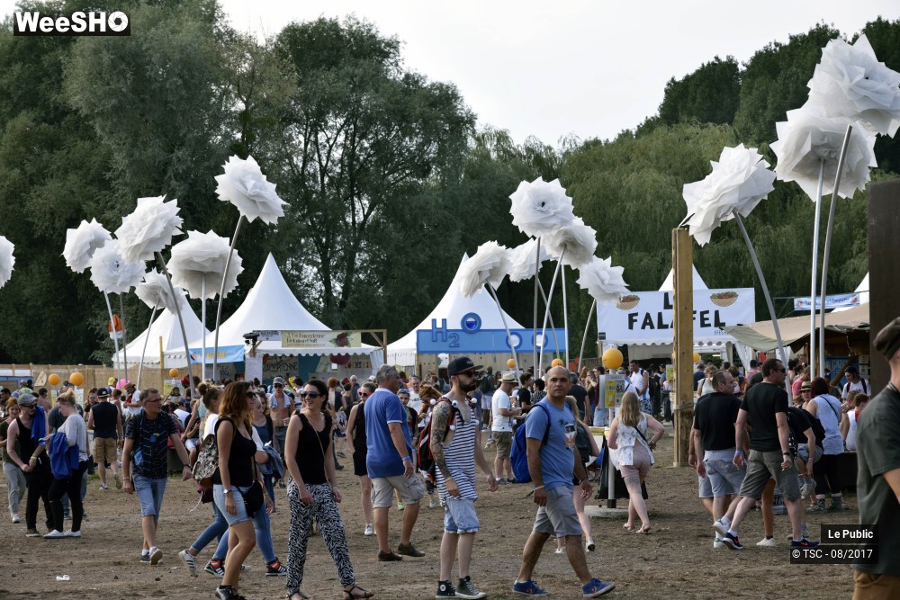 8/49 photos du spectacle Ambiance du Cabaret Vert 2017 Jour 4