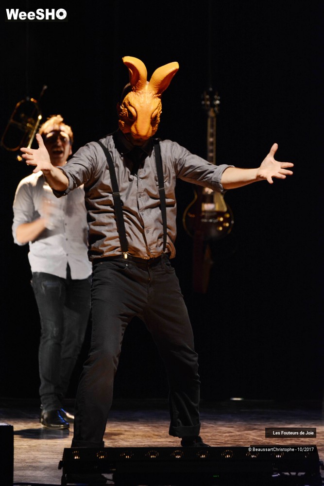 14/50 photos du spectacle Des Etoiles et des Idiots