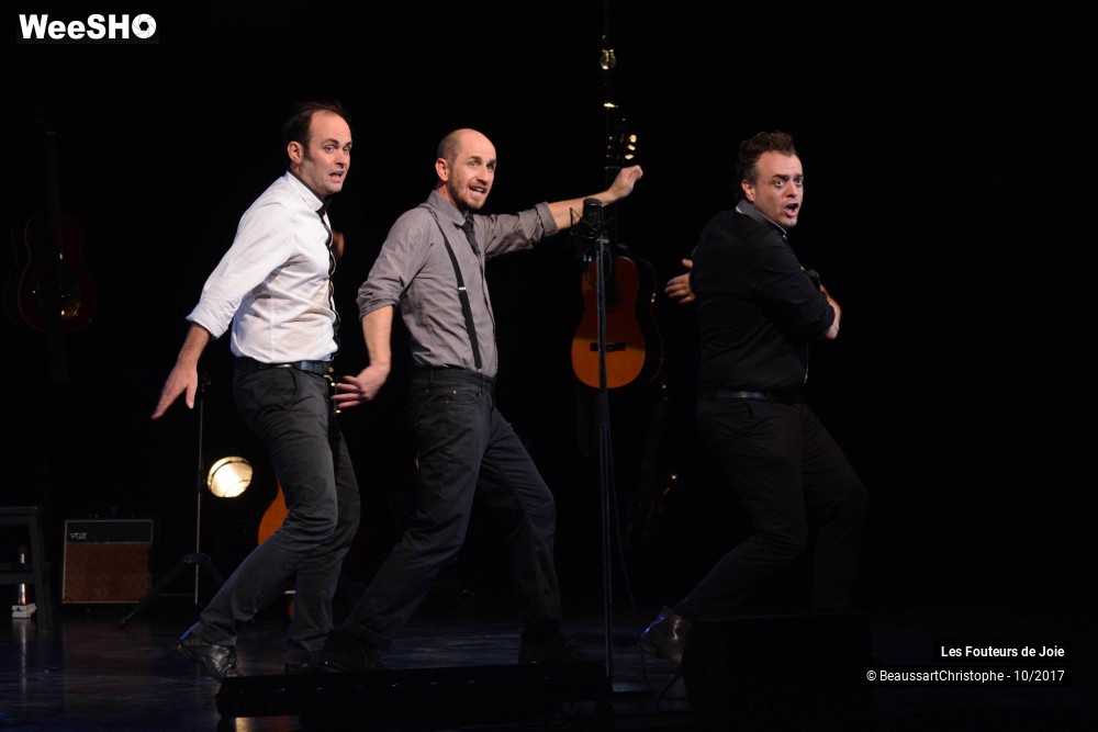 17/50 photos du spectacle Des Etoiles et des Idiots