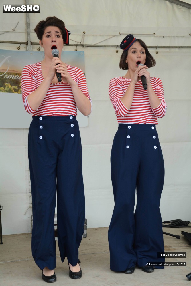 2/42 photos du spectacle Les Biches Cocottes