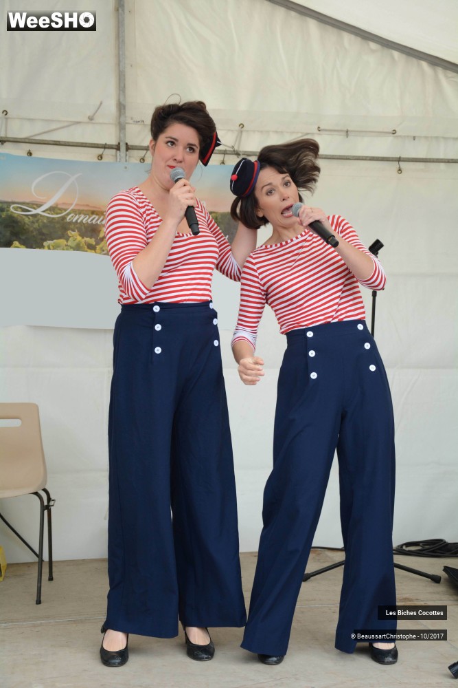 5/42 photos du spectacle Les Biches Cocottes