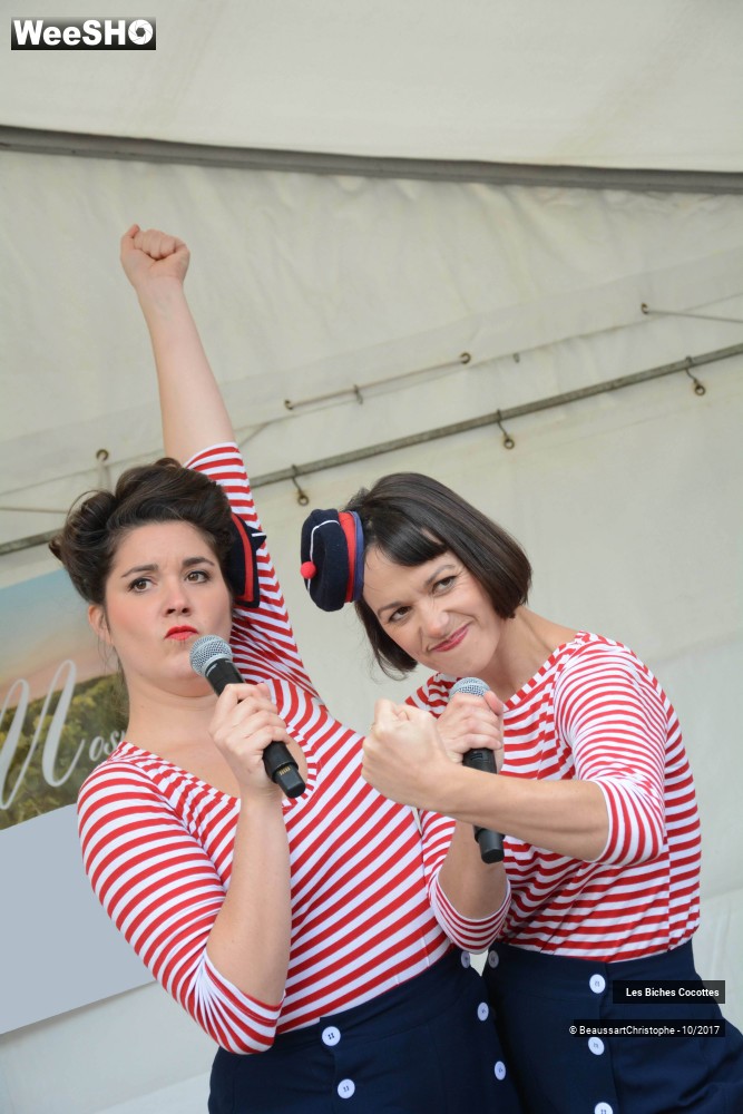 7/42 photos du spectacle Les Biches Cocottes